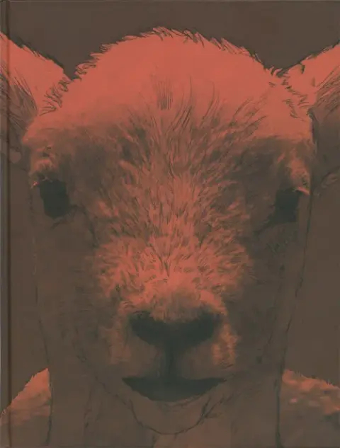 Autre de l'album Duncan le chien prodige Saison un