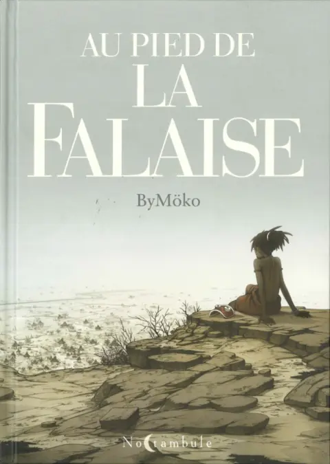 Couverture de l'album Au pied de la falaise
