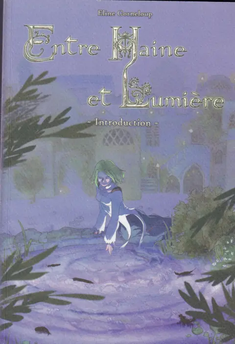 Entre Haine et Lumière