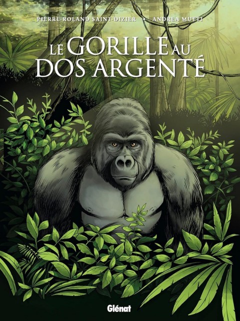 Couverture de l'album Le gorille au dos argenté