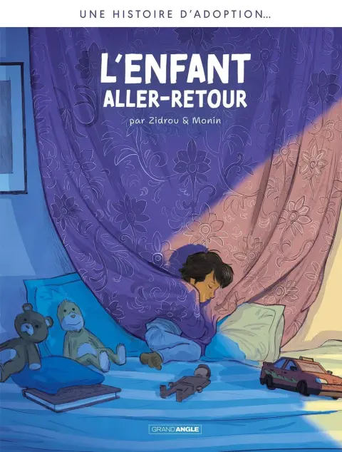 Couverture de l'album L'Adoption L'enfant aller-retour