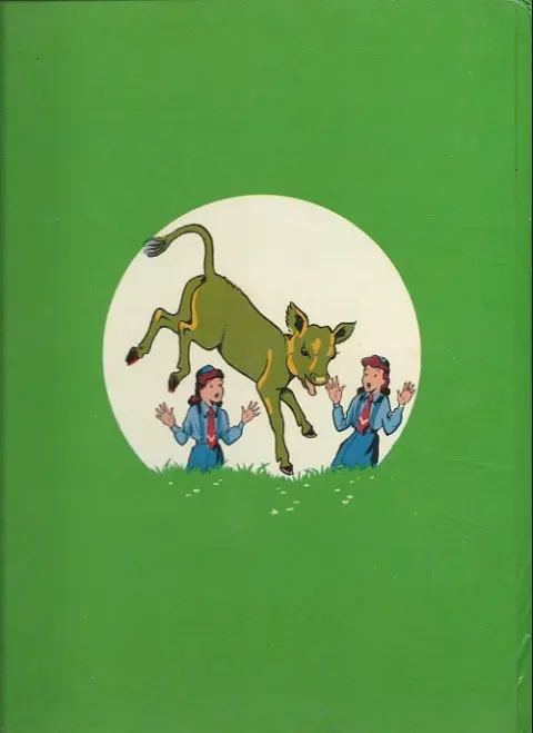 Verso de l'album Bécassine Tome 17 Bécassine fait du scoutisme