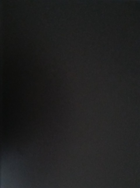 Verso de l'album Flic à la PJ 2 Arnaque, Crime et TVA