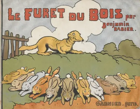 Le furet du bois