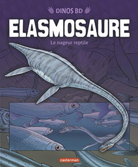 Dinos BD 8 Elasmosaure : le nageur reptile