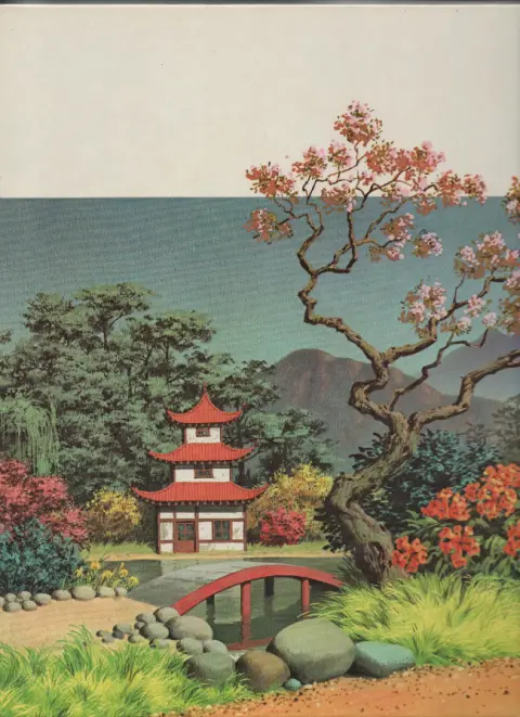 Verso de l'album Taka Takata Tome 2 Kamikaze cycliste
