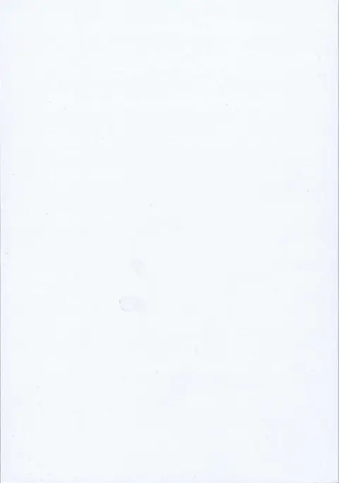 Verso de l'album Art & Sketchbook