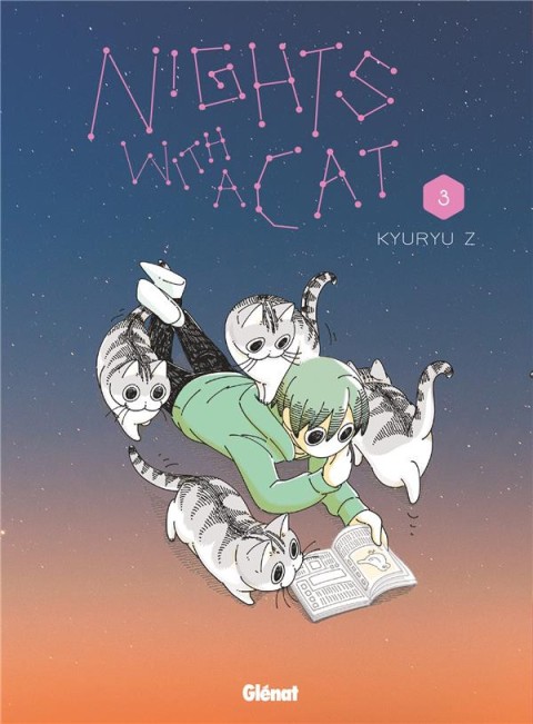 Couverture de l'album Nights with a cat 3