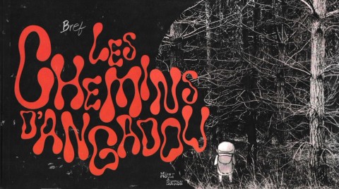 Les chemins d'Angadou