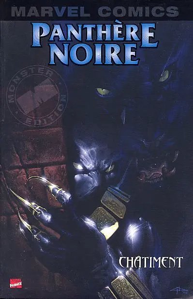 Panthère Noire Tome 1 Châtiment