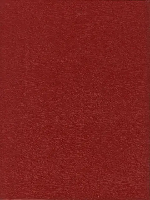 Verso de l'album Iznogoud Tome 16 Iznogoud et les femmes