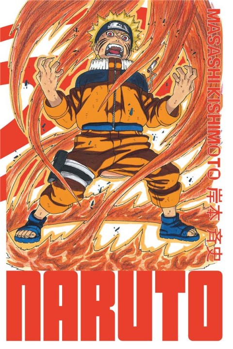 Couverture de l'album Naruto Edition Hockage 13