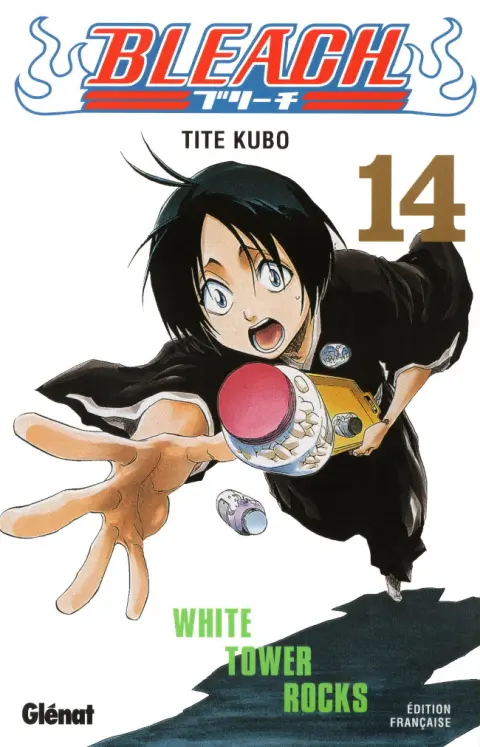 Bleach Tome 14 White Tower Rocks
