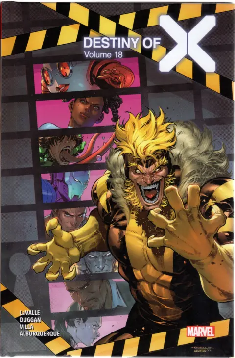 Destiny of X Volume 18
