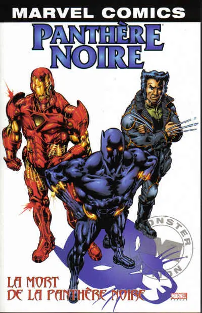 Panthère Noire Tome 3 La mort de la panthère noire