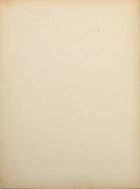 Verso de l'album Zozo Tome 1 Zozo explorateur