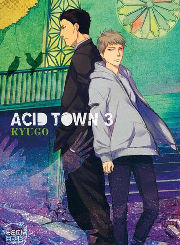 Couverture de l'album Acid Town 3