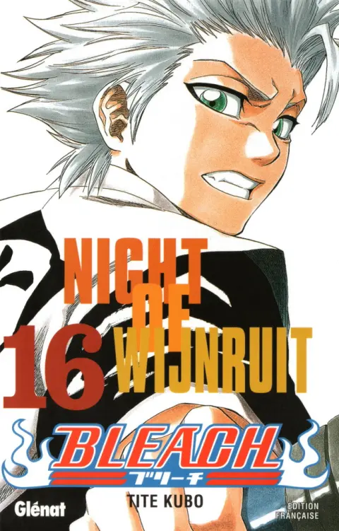 Bleach Tome 16 Night of Wijnruit