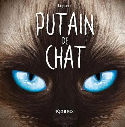 Putain de chat 10