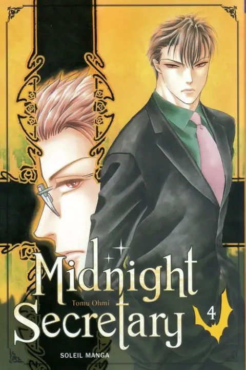 Midnight secretary 4