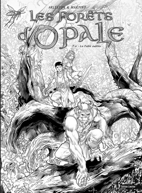 Couverture de l'album Les Forêts d'Opale Tome 11 La fable oubliée