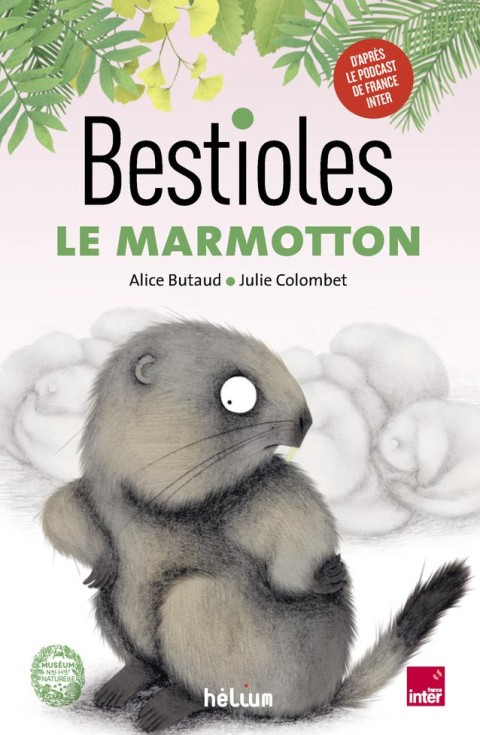 Bestioles 1 Le Marmotton
