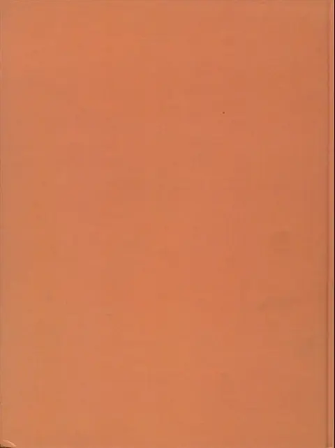 Verso de l'album Celtil Tome 1