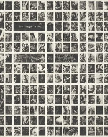 Les Images volées