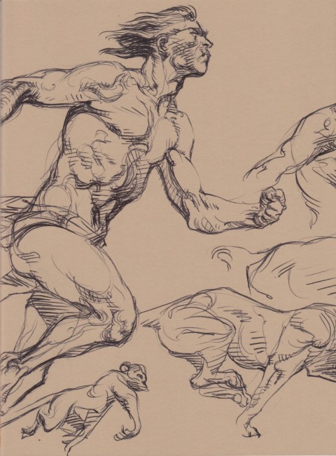 Le roi de la Jungle Les croquis pour le Roi de la Jungle