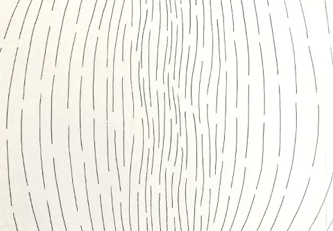 Verso de l'album Sclérose