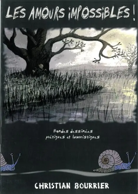 Les Amours impossibles ! Bandes dessinées poétiques et humoristiques