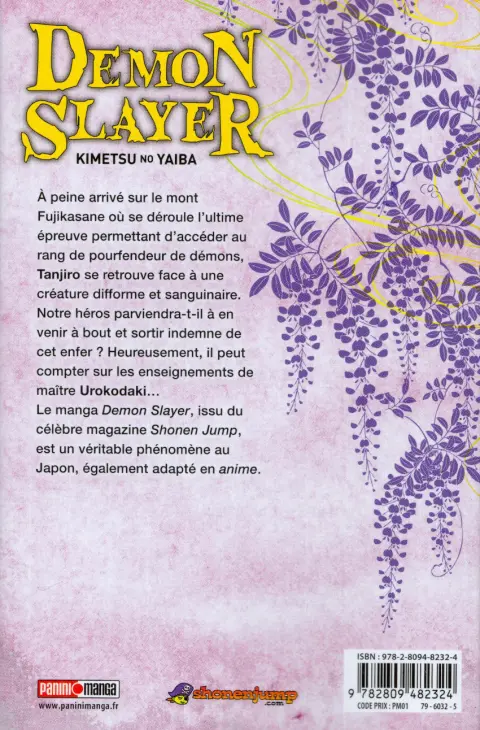 Verso de l'album Demon Slayer - Kimetsu no yaiba 2
