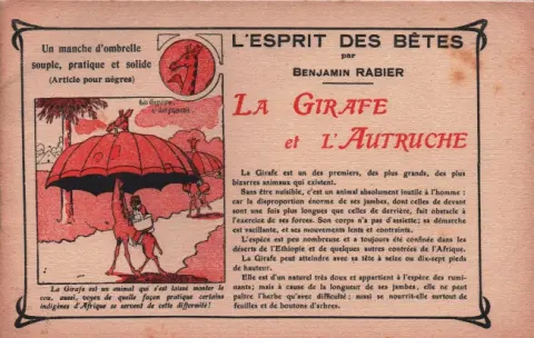 Esprit des bêtes L'esprit des bêtes : La girafe et l'autruche