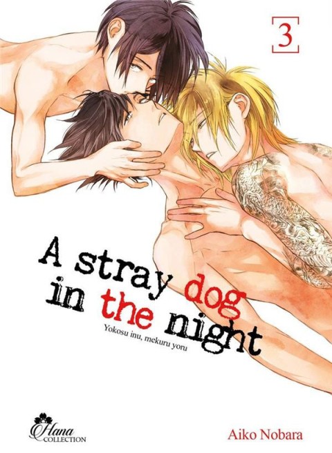 Couverture de l'album A stray dog in the night 3