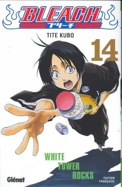 Bleach Tome 14 White Tower Rocks