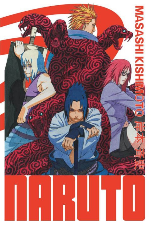 Couverture de l'album Naruto Edition Hockage 20