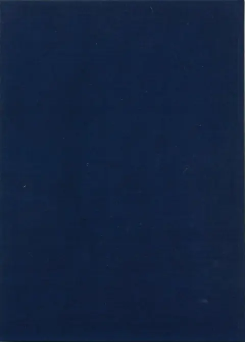 Verso de l'album Blueberry Tome 22 Le bout de la piste