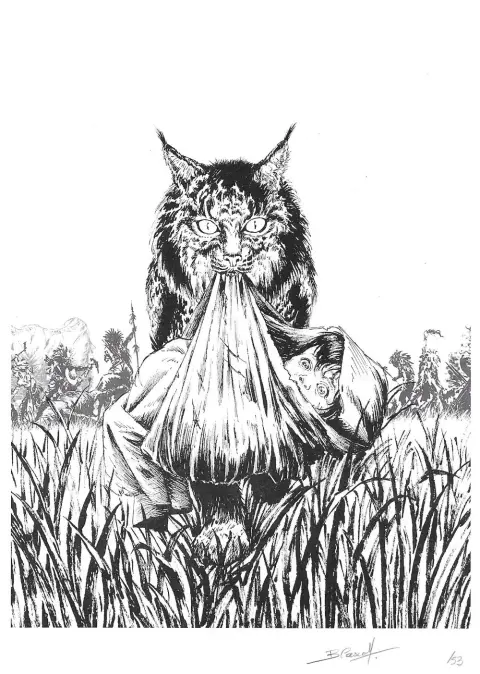 Autre de l'album Catamount Tome 2 Le train des maudits