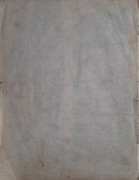 Verso de l'album Lyne et Zoom