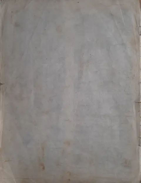 Verso de l'album Lyne et Zoom