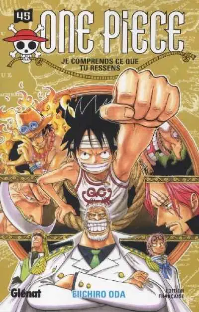 One Piece Tome 45 Je comprends ce que tu ressens