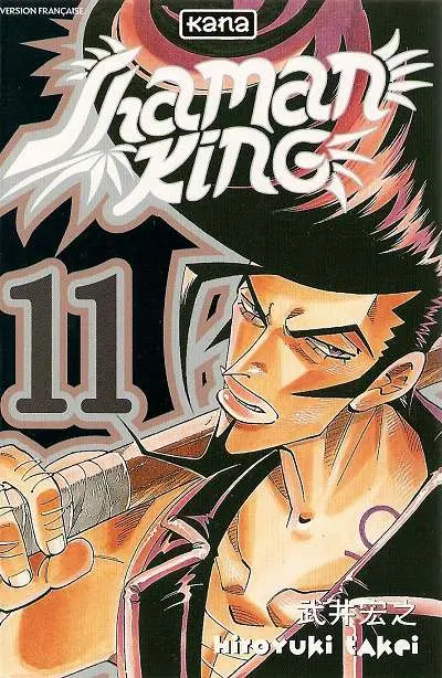 Shaman King 11 La rancune et le sang