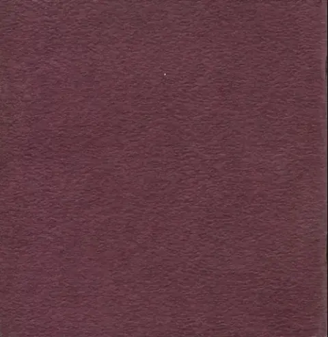 Verso de l'album Nos meilleurs amis et l'Acte Interdit