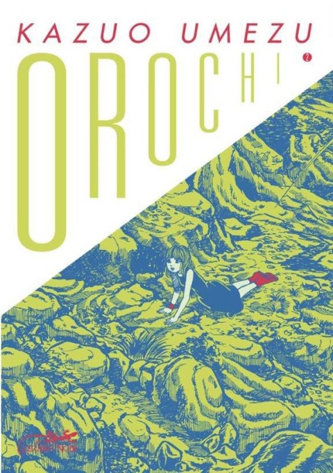 Couverture de l'album Orochi 2
