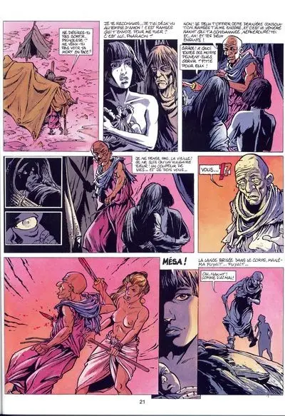 Planche de l'album Les Héritiers du soleil Tome 5 Néphérouré