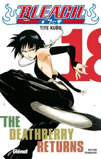 Bleach Tome 18 The Deathberry Returns
