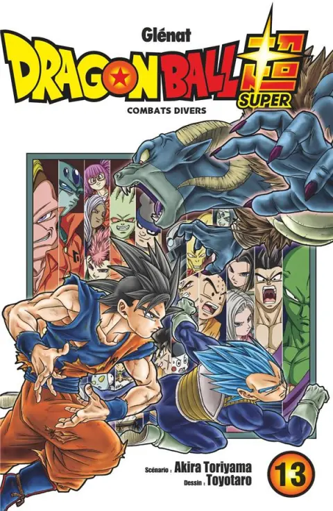 Dragon Ball Super 13 Combats divers