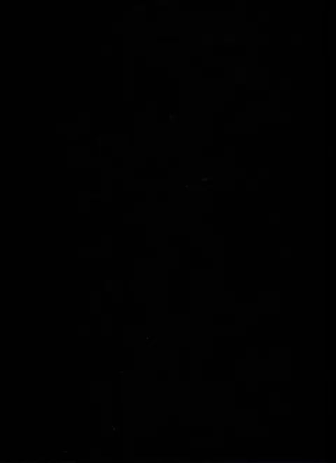 Verso de l'album Page Noire