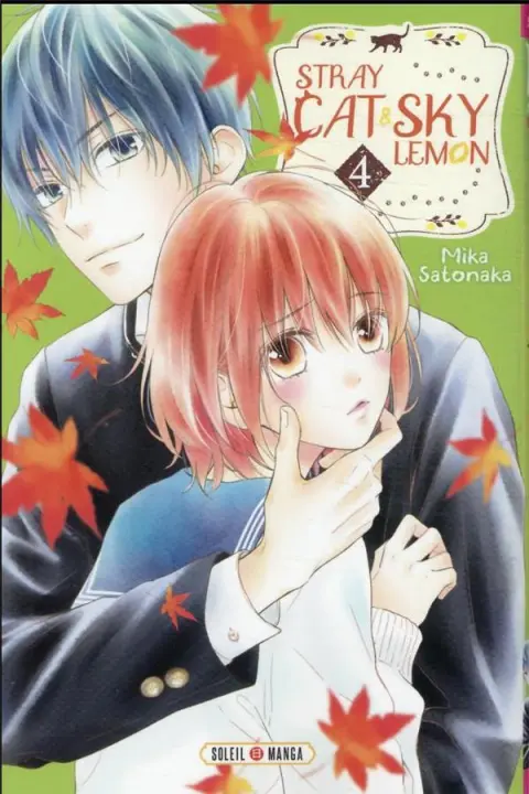 Stray cat and sky lemon 4