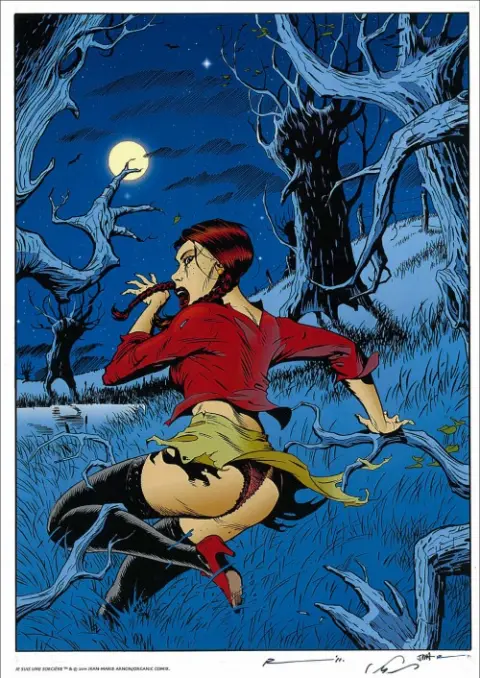 Autre de l'album Je suis une sorcière Tome 3 Voyage en Anomie